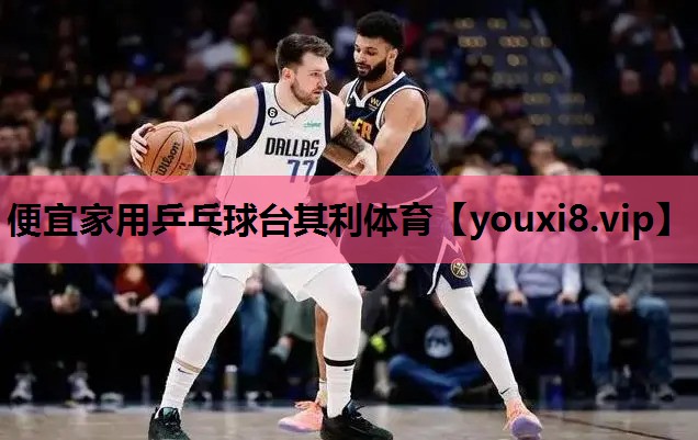 便宜家用乒乓球台其利体育