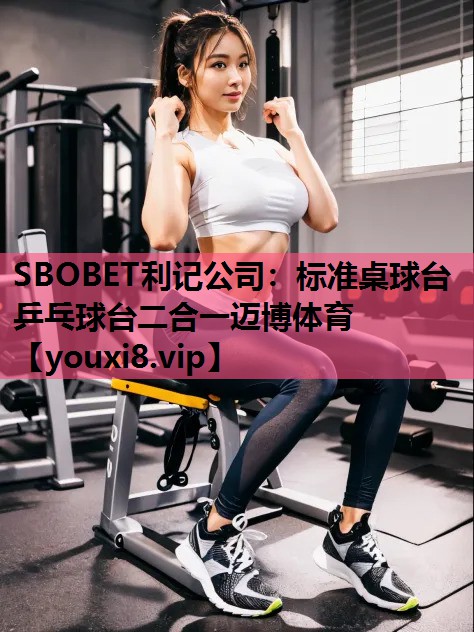 SBOBET利记公司：标准桌球台乒乓球台二合一迈博体育
