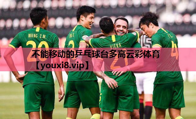 不能移动的乒乓球台多高云彩体育