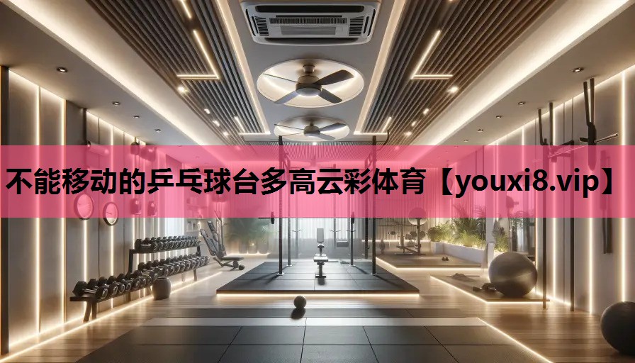 不能移动的乒乓球台多高云彩体育