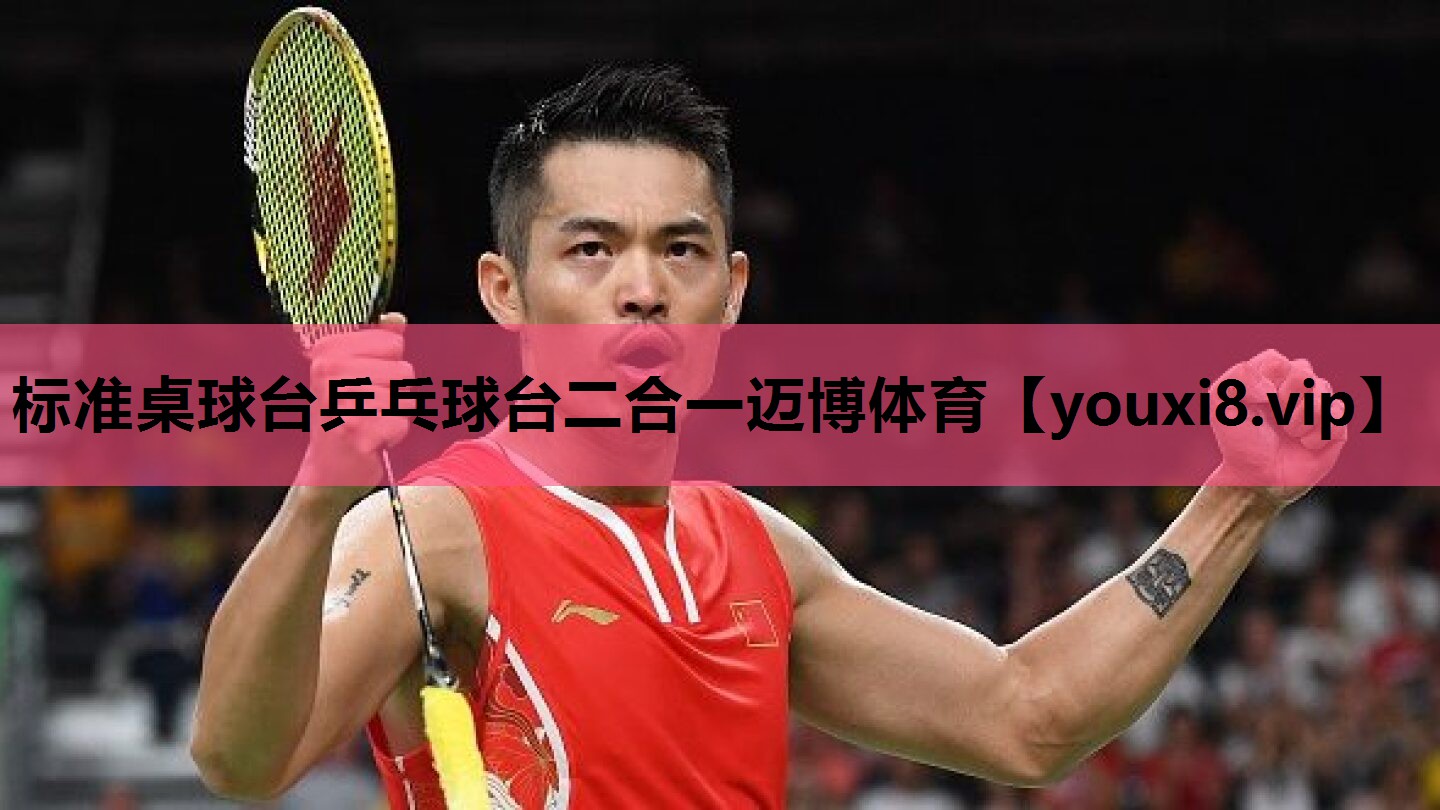 标准桌球台乒乓球台二合一迈博体育