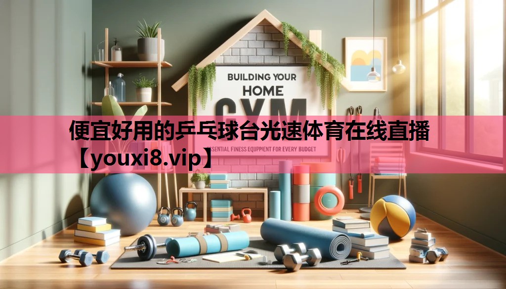 便宜好用的乒乓球台光速体育在线直播