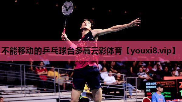不能移动的乒乓球台多高云彩体育