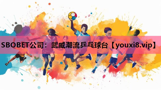 武威潮流乒乓球台
